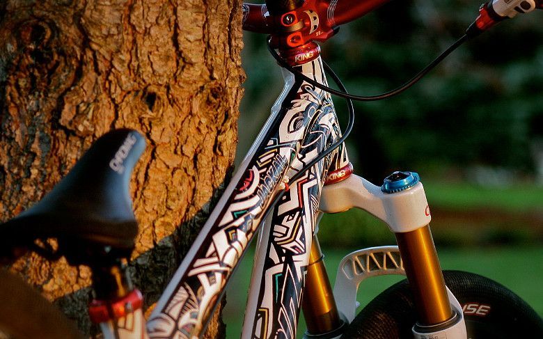 custom-santa-cruz-jackal-1-2