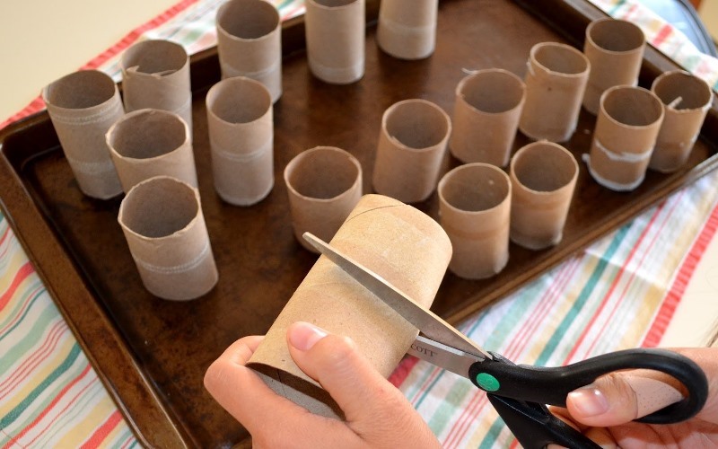 toilet-rolls-garden-1