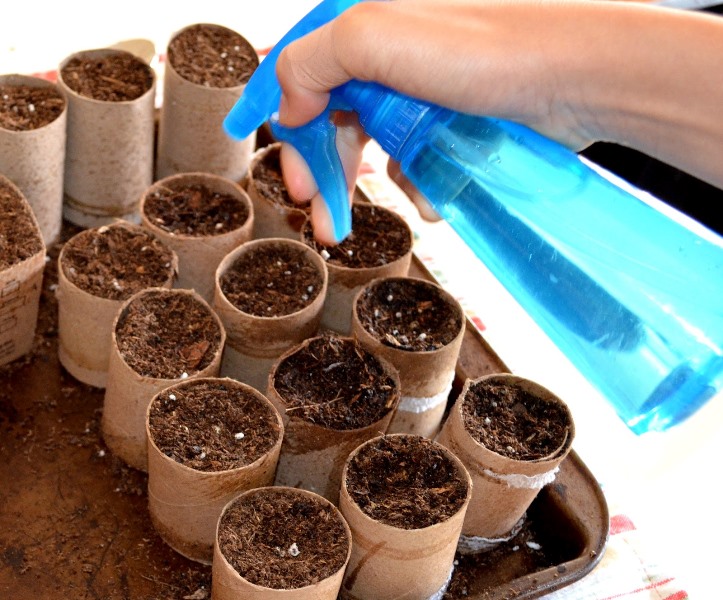 toilet-rolls-garden-5