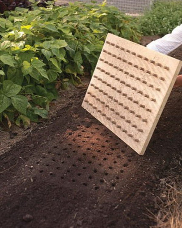 13-Use-This-DIY-Planting-Board-To-Create-Perfect-Rows-In-Your-Garden