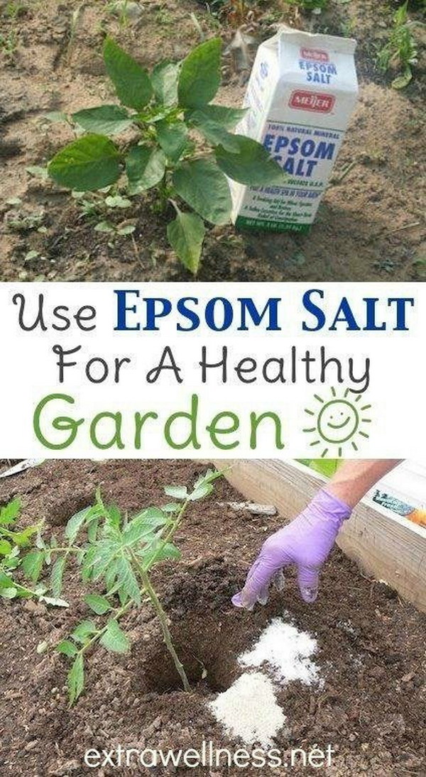 8-Use-Epsom-Salt-at-the-Planting-Stage-to-Aid-Seed-Germination