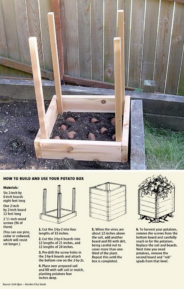 22-Grow-100-lbs-Of-Potatoes-In-4-Square-Feet
