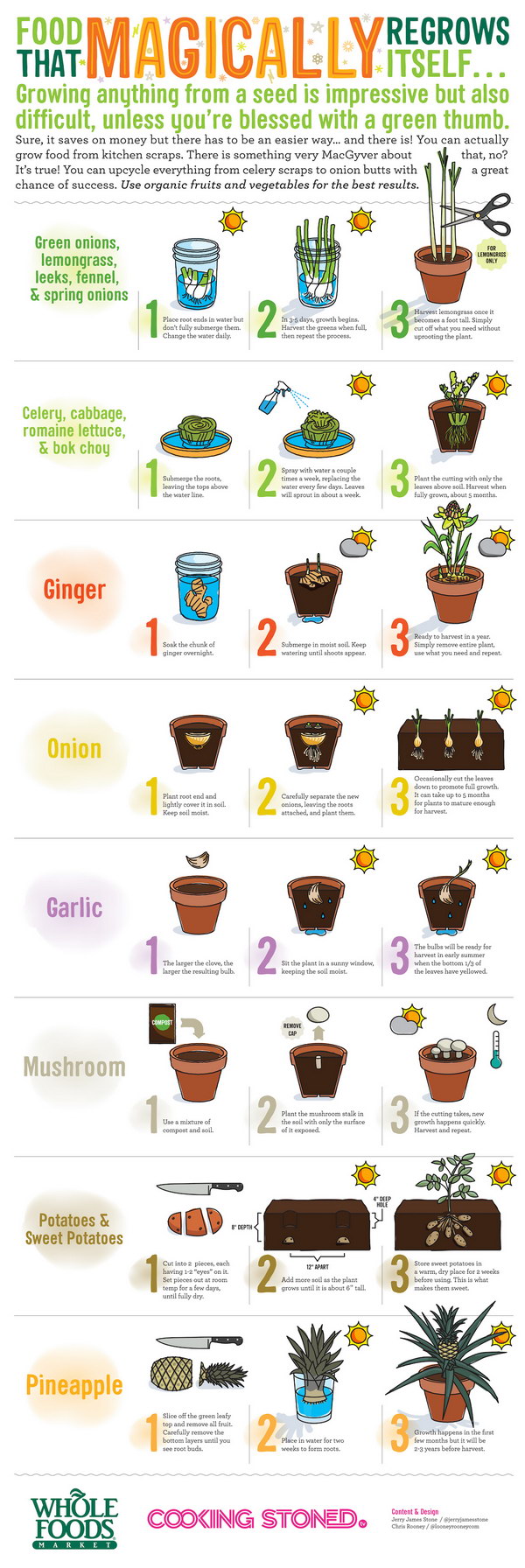 24-Upcycle-Your-Vegetable-Scraps-And-Regrow-Them-Easily-1