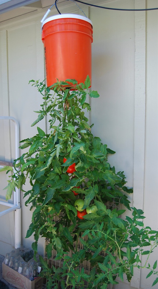 322101254_563667790_l