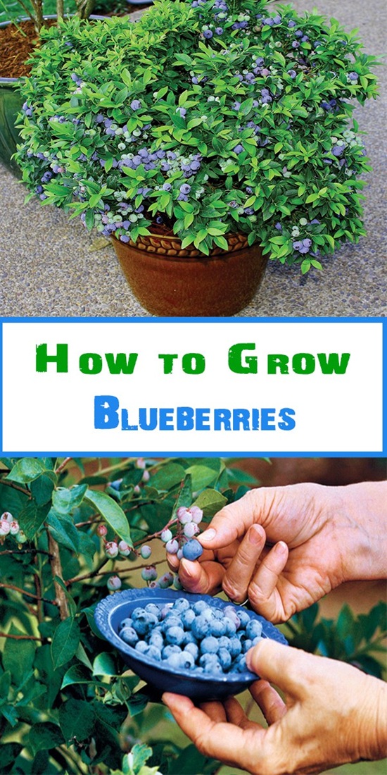 696077106_488671047_l