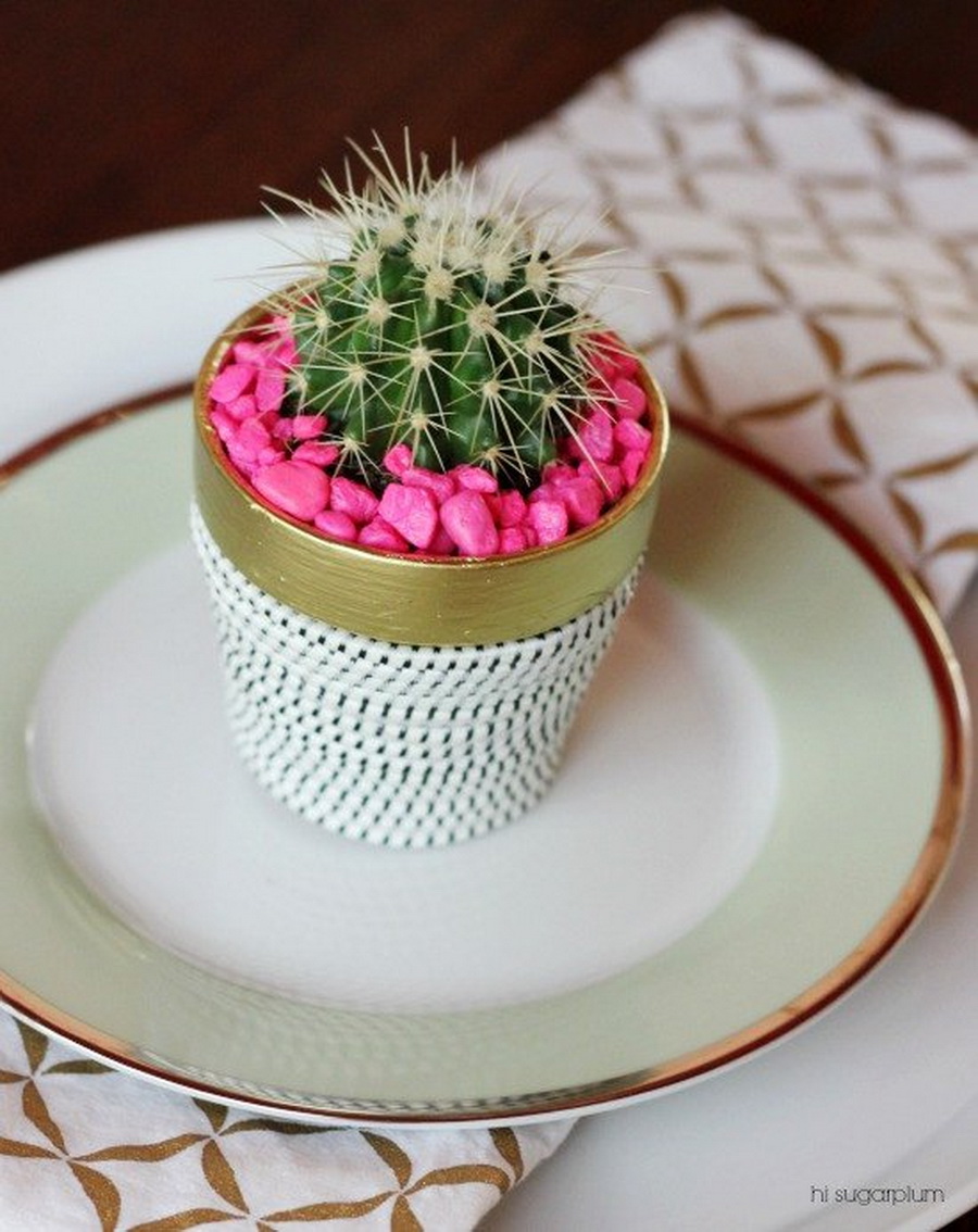 SucculentMiniGarden1