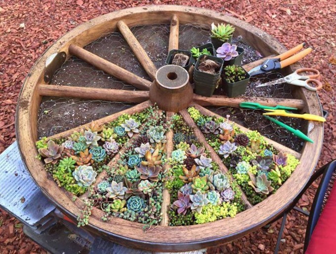 Wagon-Wheel-Garden-