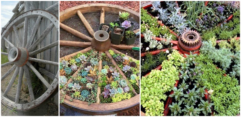 Wagon Wheel Garden Feat