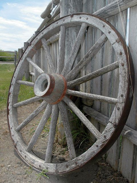 wagon_wheel