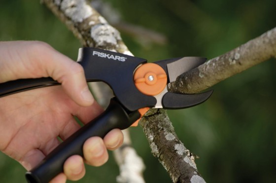 Hand Pruners