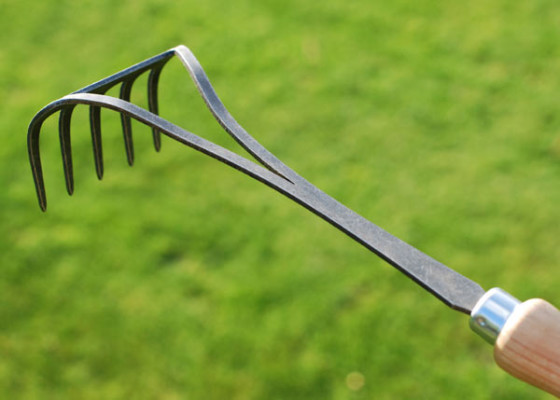 Hand Rake