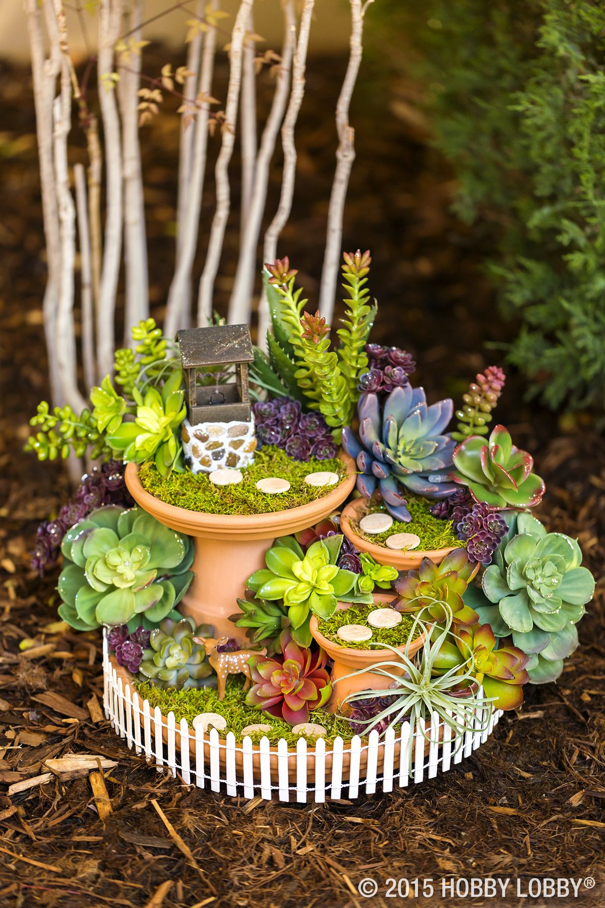 Succulent Garden 13