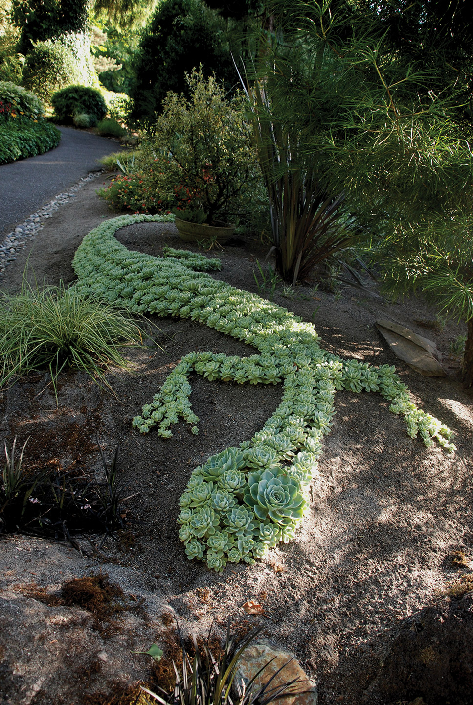 Succulent Garden 14