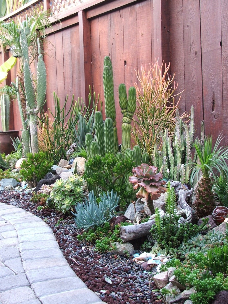 Succulent Garden 19