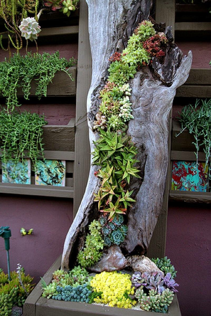 Succulent Garden 2