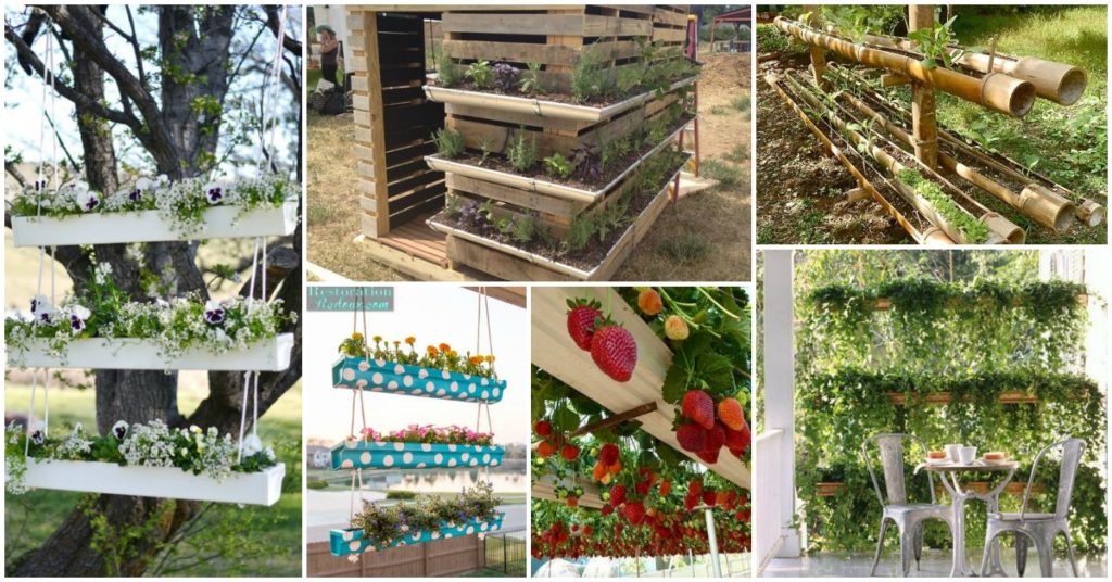 Gutter Garden Ideas Feat