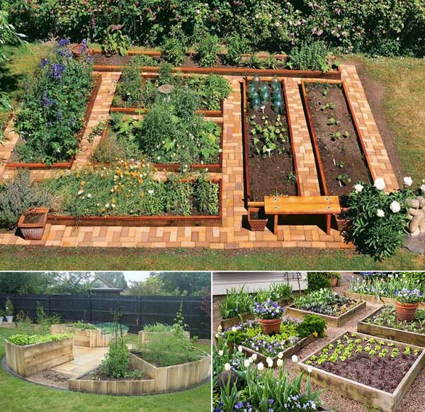 Grow Vegetable Garden 09