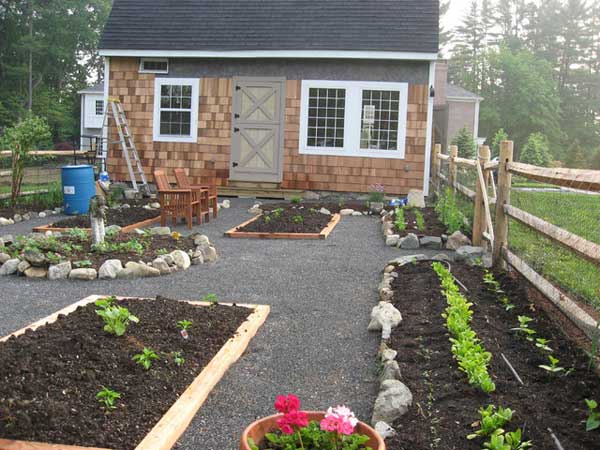 Grow Vegetable Garden 14