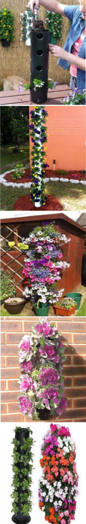 Plant a Vertical Garden 08