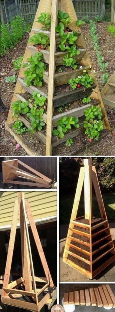 Plant a Vertical Garden 09