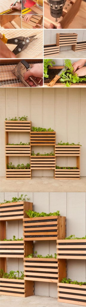 Plant a Vertical Garden 11